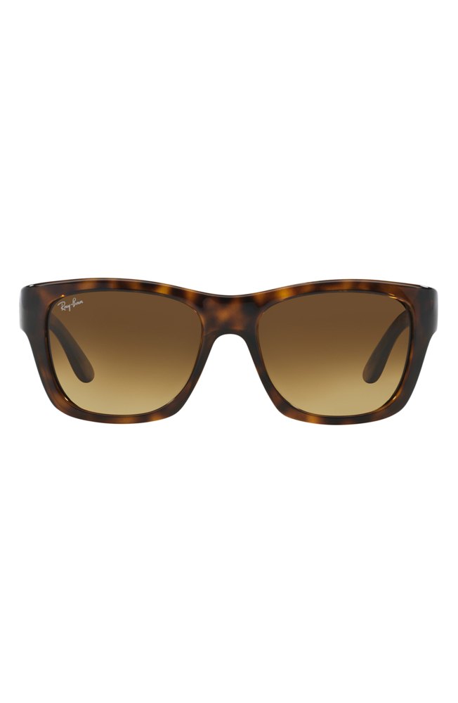 Ray-Ban 53mm Wayfarer Sunglasses